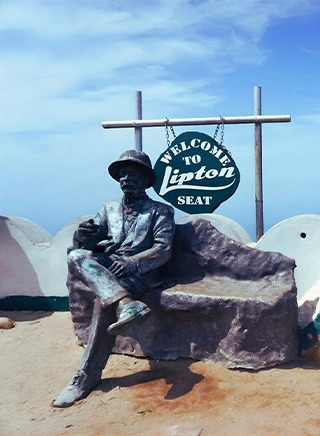 Lipton's Seat